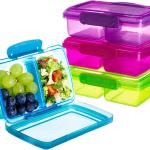 4 Pack Reusable Snack Containers with Lids, 2-Compartment Bento Boxes for Kids, Lightweight & Stackable Food Containers, Dishwasher Safe & Refrigerator Safe (4 Colors)