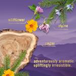 Touch Fabric Spray, Ocean & Mountain, 16.9 oz, Pack of 2