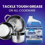 Dawn Professional Heavy Duty Manual Pot and Pan Dish Soap Detergent, 1 Gallon (Case of 2)