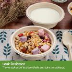 Homestockplus 16 Oz Disposable Bowls Heavy Duty Small Paper Bowls me of 100% Compostable Heavy-duty Quality Natural Bagasse Biodegrable Bowls for Ice Cream, Dessert And Chili ect.[50 Pack]