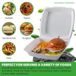 Concession Essentials Pack of 30CT Choice Large 9 x 9 x 3.5 Inch Foam 1-Compartment Containers, White, Hinged, with Optional Venting, Polystyrene, 9"L x 9"W x 3.5"H