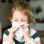 Basics Facial Tissue, 2-Ply, 160 Tissues per Box, 4 Boxes (640 total) (Previously Solimo)