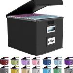Huolewa File Organizer Box with Lid, Collapsible File Folder Organizer for Office Document Storage, Filing Box with Plastic Slide for Letter Size Hanging File Folders(1 Pack, Black)