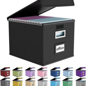 Huolewa File Organizer Box with Lid, Collapsible File Folder Organizer for Office Document Storage, Filing Box with Plastic Slide for Letter Size Hanging File Folders(1 Pack, Black)