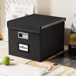 Huolewa File Organizer Box with Lid, Collapsible File Folder Organizer for Office Document Storage, Filing Box with Plastic Slide for Letter Size Hanging File Folders(1 Pack, Black)