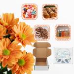 6x5x3 inch Shipping Boxes, White Corrugated Cardboard Box Literature Mailing Shipping Packaging Recyclable Storage Boxes and Craft Gifts Giving Products Business White Box Set of 25 (6''x5''x3'')