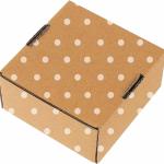 25 Pack Small Shipping Boxes - Corrugated Cardboard Mailers, Gift & Craft Packing, Jewelry Shipping (4" x 4" x 2")