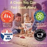 Capture Carpet & Rug Dry Cleaner w/Resealable lid - Home, Car, Dogs & Cats Pet Carpet Cleaner Solution - Strength Odor Eliminator, Stains Spot Remover, Non Liquid & No Harsh Chemical (4 Pound)