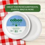 Caboo Disposable Bamboo Paper Plates, 125 Pack of 10 Inch Sturdy Biodegrable Plates, Compostable Plate, Microwave Safe Party Plate, Eco Friendly Alternative to Plastic