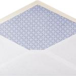 Basics #10 Security Tinted Business Gummed Envelopes, Moisture Sealed, 4-1/8 x 9-1/2 Inch, Pack of 500, One Size, White
