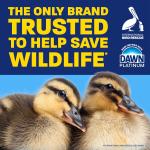 Dawn Platinum EZ-Squeeze Dish Soap Liquid, Dishwashing Liquid, Grease Removal, Upside Down Bottle, Bleach Alternative Clean Lemon, 6x18 Fl Oz Bundle