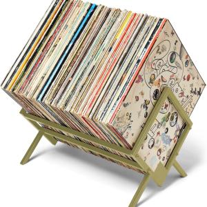 MODERN VINYL Record Storage Holder - Vinyl Record Holder Stand 80-100 LP - Vinyl Record Storage RacK - Quick Assebmly with Divider Support Bar - Organize Albums, Book, Magazine, File (Gold 1 Tier)