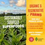 Vive Organic Immunity Boost Shots -Variety 4 Pack (2oz, 4 Count)