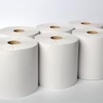 Karat Commercial Paper Towel Rolls, Absorbent & Sturdy for High Traffic Areas, White (Pack of 6)