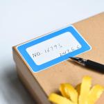 FungLam 4 Colors Plain Name Tag Stickers 200 Labels for Office, School, Teachers, Meeting and Mailing