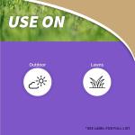 Bonide Captain Jack's Lawnweed Brew, 32 oz Rey-to-Spray, Fast-Acting Formula Controls Weeds, Moss, Algae, Lichens & Disease