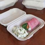World Centric Compostable Fiber Hinged Hoagie Box 9x6x3 - Plant Fiber with no ded PFAS - 100 Pack