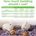 Carefresh 99% Dust-Free Confetti Natural Paper Small Pet Bedding with Odor Control, 10 L