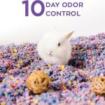 Carefresh 99% Dust-Free Confetti Natural Paper Small Pet Bedding with Odor Control, 10 L